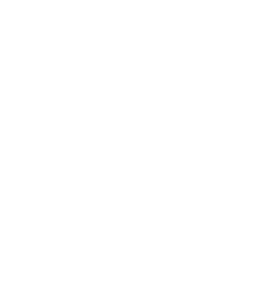 Ícone